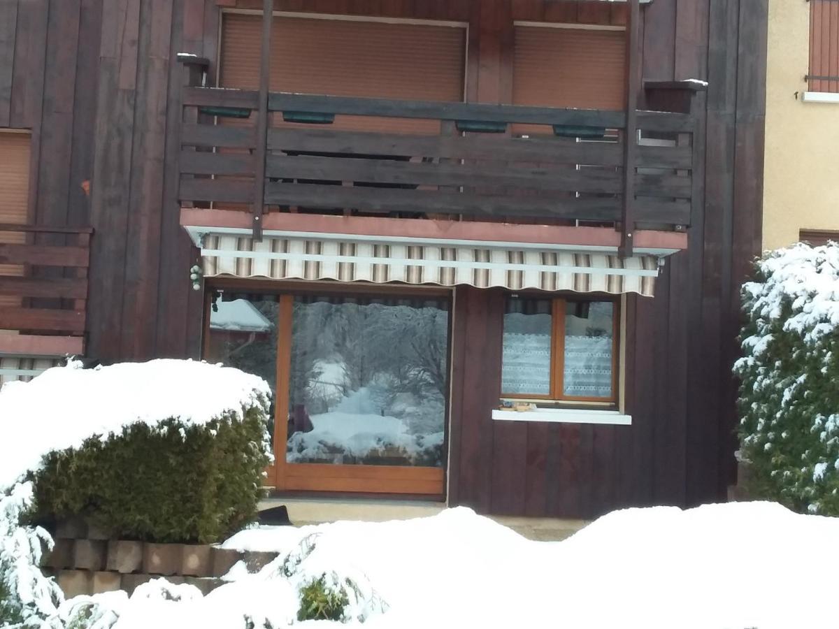 Charmant Duplex De 45M², 2 Chambres, Jardin, Garage, Villard-De-Lans - Fr-1-515-51 Εξωτερικό φωτογραφία